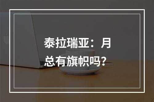 泰拉瑞亚：月总有旗帜吗？