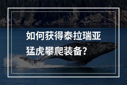 如何获得泰拉瑞亚猛虎攀爬装备？