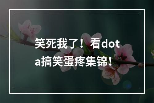 笑死我了！看dota搞笑蛋疼集锦！