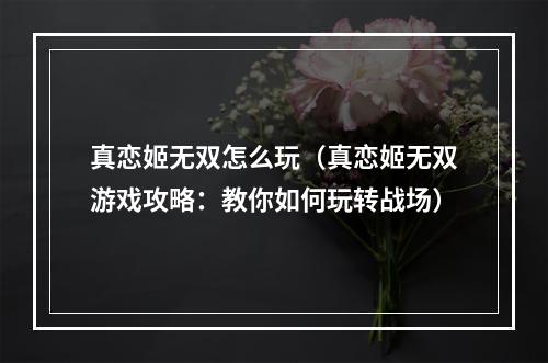 真恋姬无双怎么玩（真恋姬无双游戏攻略：教你如何玩转战场）