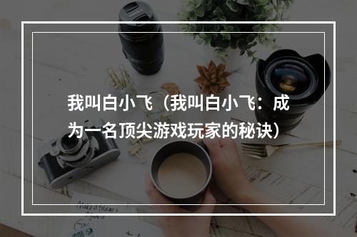 我叫白小飞（我叫白小飞：成为一名顶尖游戏玩家的秘诀）