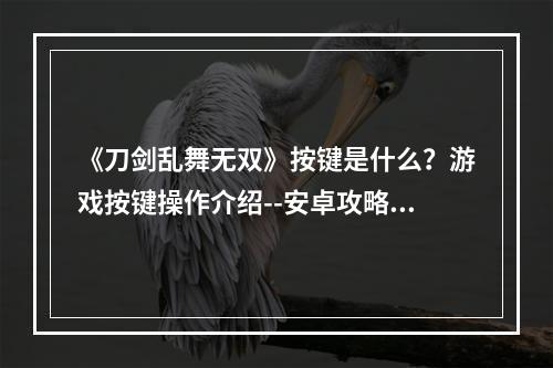 《刀剑乱舞无双》按键是什么？游戏按键操作介绍--安卓攻略网