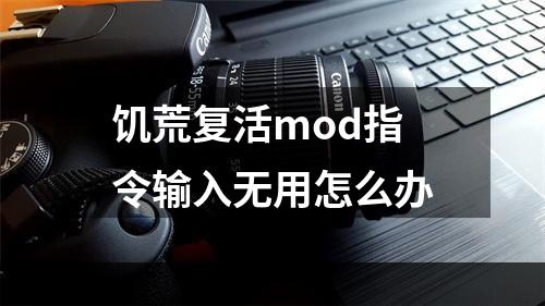 饥荒复活mod指令输入无用怎么办