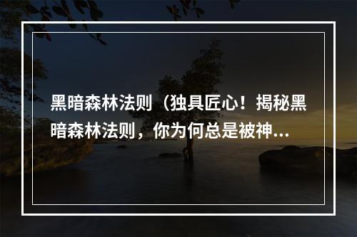 黑暗森林法则（独具匠心！揭秘黑暗森林法则，你为何总是被神秘武器秒杀？）