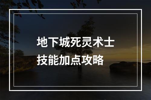 地下城死灵术士技能加点攻略