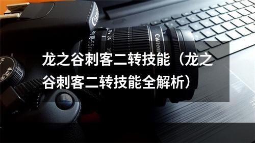 龙之谷刺客二转技能（龙之谷刺客二转技能全解析）