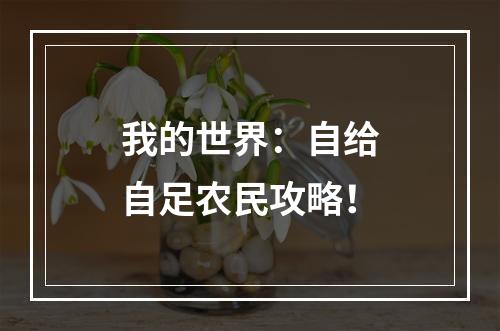 我的世界：自给自足农民攻略！