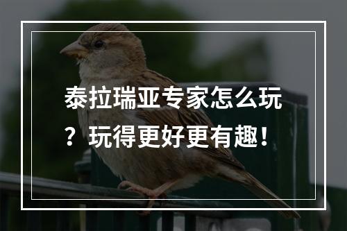 泰拉瑞亚专家怎么玩？玩得更好更有趣！