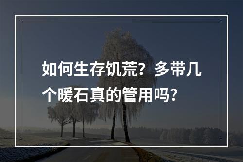 如何生存饥荒？多带几个暖石真的管用吗？