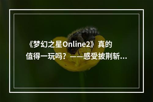 《梦幻之星Online2》真的值得一玩吗？——感受披荆斩棘的星际生活