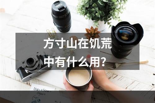 方寸山在饥荒中有什么用？