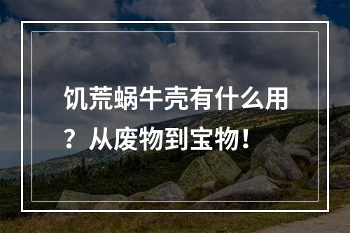 饥荒蜗牛壳有什么用？从废物到宝物！