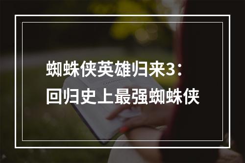 蜘蛛侠英雄归来3：回归史上最强蜘蛛侠