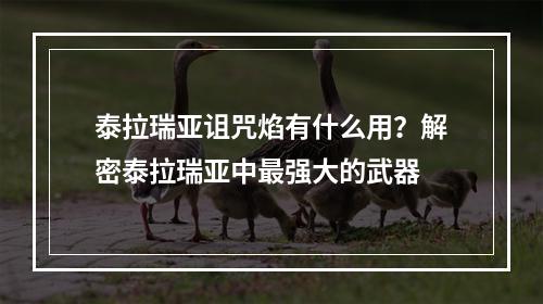 泰拉瑞亚诅咒焰有什么用？解密泰拉瑞亚中最强大的武器