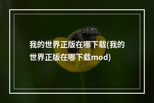 我的世界正版在哪下载(我的世界正版在哪下载mod)