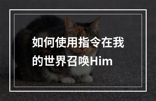 如何使用指令在我的世界召唤Him