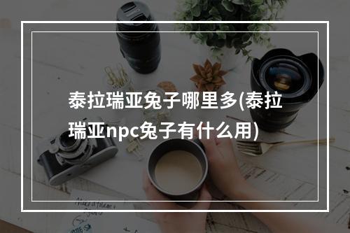 泰拉瑞亚兔子哪里多(泰拉瑞亚npc兔子有什么用)