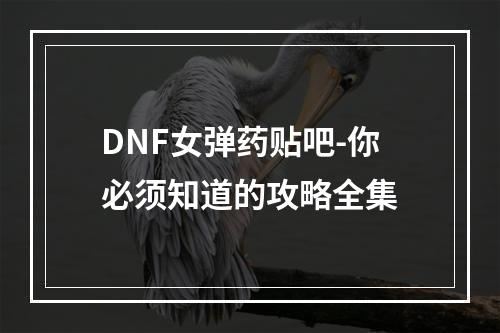 DNF女弹药贴吧-你必须知道的攻略全集