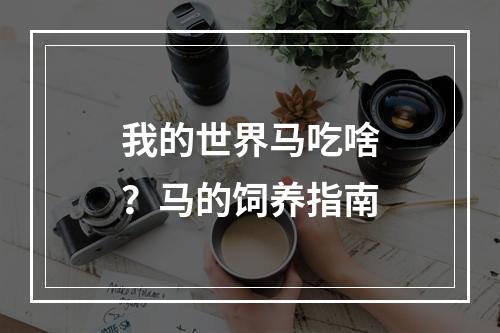 我的世界马吃啥？马的饲养指南