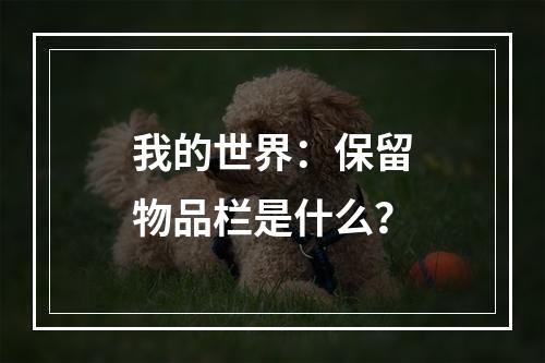 我的世界：保留物品栏是什么？