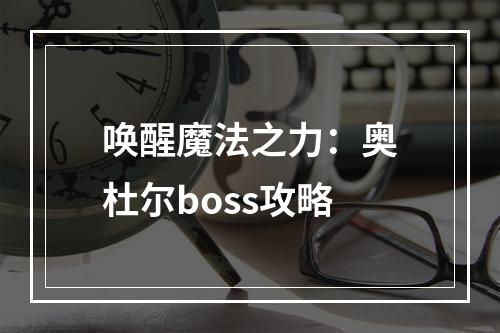 唤醒魔法之力：奥杜尔boss攻略