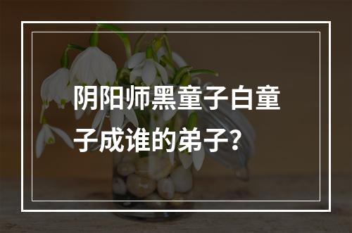 阴阳师黑童子白童子成谁的弟子？