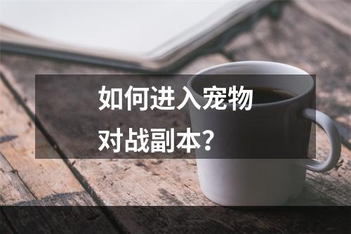 如何进入宠物对战副本？