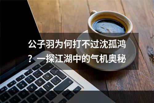 公子羽为何打不过沈孤鸿？一探江湖中的气机奥秘