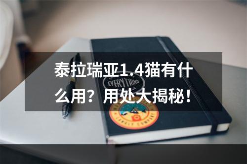 泰拉瑞亚1.4猫有什么用？用处大揭秘！