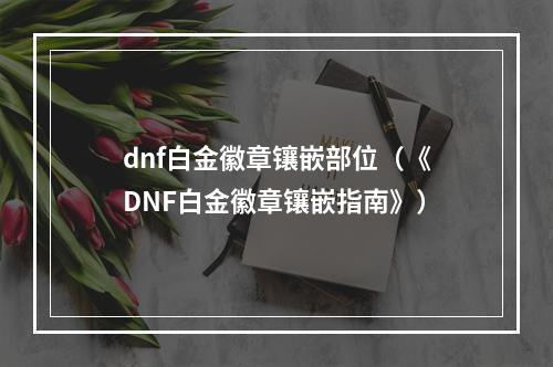 dnf白金徽章镶嵌部位（《DNF白金徽章镶嵌指南》）