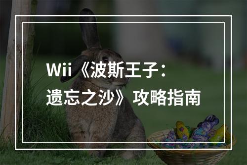 Wii《波斯王子：遗忘之沙》攻略指南