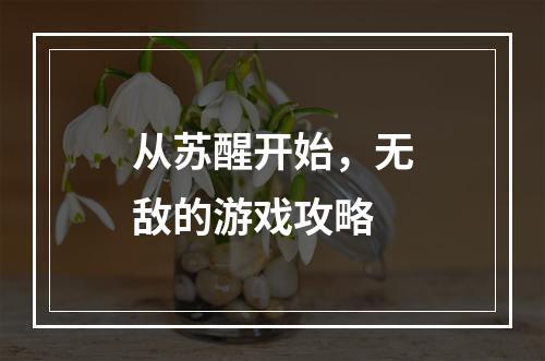 从苏醒开始，无敌的游戏攻略