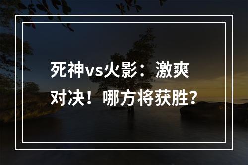 死神vs火影：激爽对决！哪方将获胜？