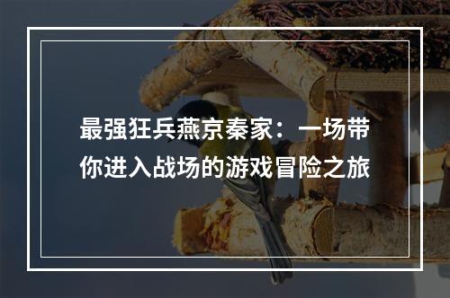 最强狂兵燕京秦家：一场带你进入战场的游戏冒险之旅