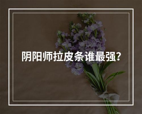 阴阳师拉皮条谁最强？