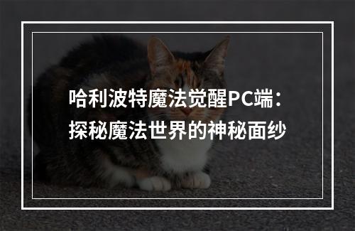 哈利波特魔法觉醒PC端：探秘魔法世界的神秘面纱