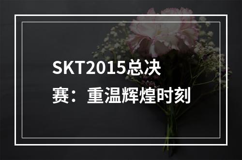 SKT2015总决赛：重温辉煌时刻