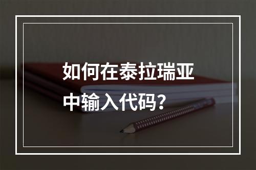 如何在泰拉瑞亚中输入代码？