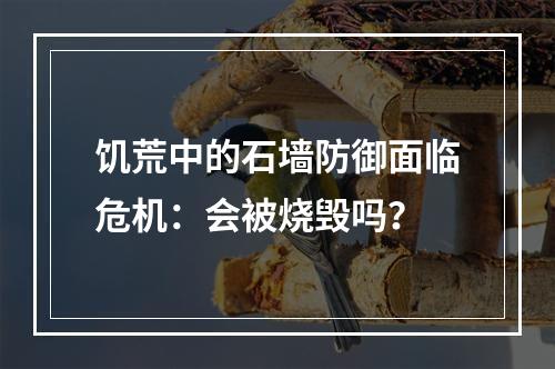 饥荒中的石墙防御面临危机：会被烧毁吗？