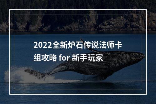 2022全新炉石传说法师卡组攻略 for 新手玩家