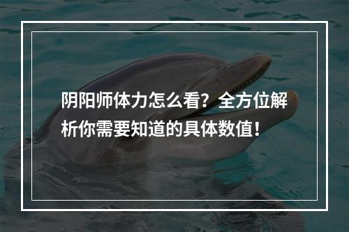 阴阳师体力怎么看？全方位解析你需要知道的具体数值！