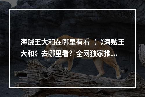 海贼王大和在哪里有看（《海贼王大和》去哪里看？全网独家推荐）