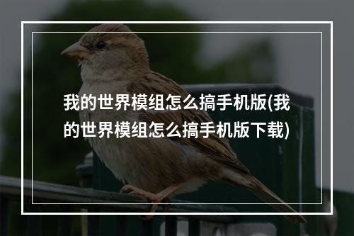 我的世界模组怎么搞手机版(我的世界模组怎么搞手机版下载)