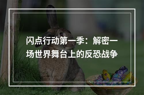 闪点行动第一季：解密一场世界舞台上的反恐战争