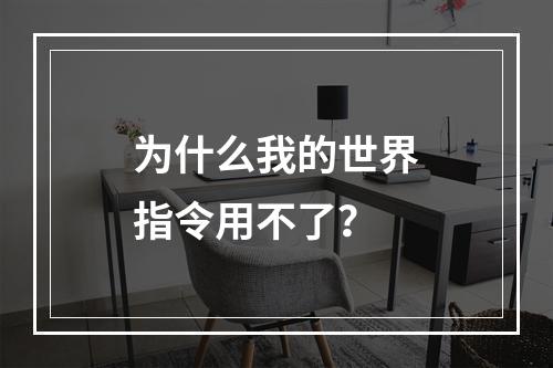 为什么我的世界指令用不了？