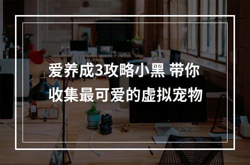 爱养成3攻略小黑 带你收集最可爱的虚拟宠物