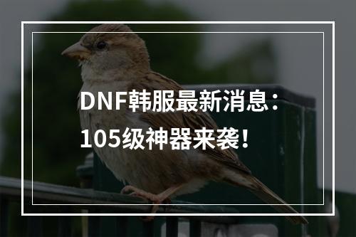 DNF韩服最新消息：105级神器来袭！