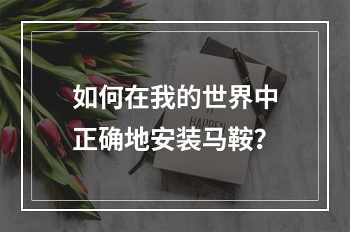 如何在我的世界中正确地安装马鞍？