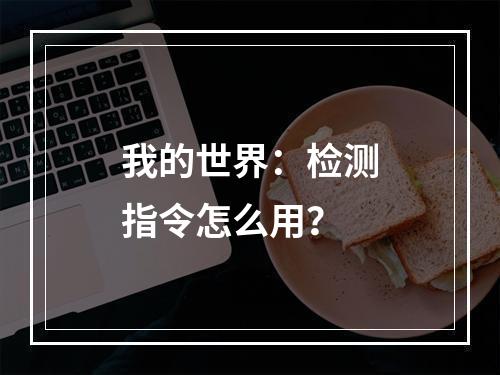 我的世界：检测指令怎么用？