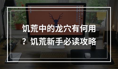 饥荒中的龙穴有何用？饥荒新手必读攻略